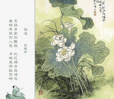 《白莲》，体裁为七言绝句，唐代文学家陆龟蒙所作