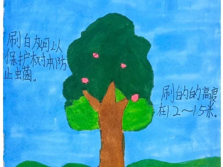 青岛市城阳区夏庄街道丹山小学少工委开展“养湿地生息，为树木刷白”主题教育实践活动