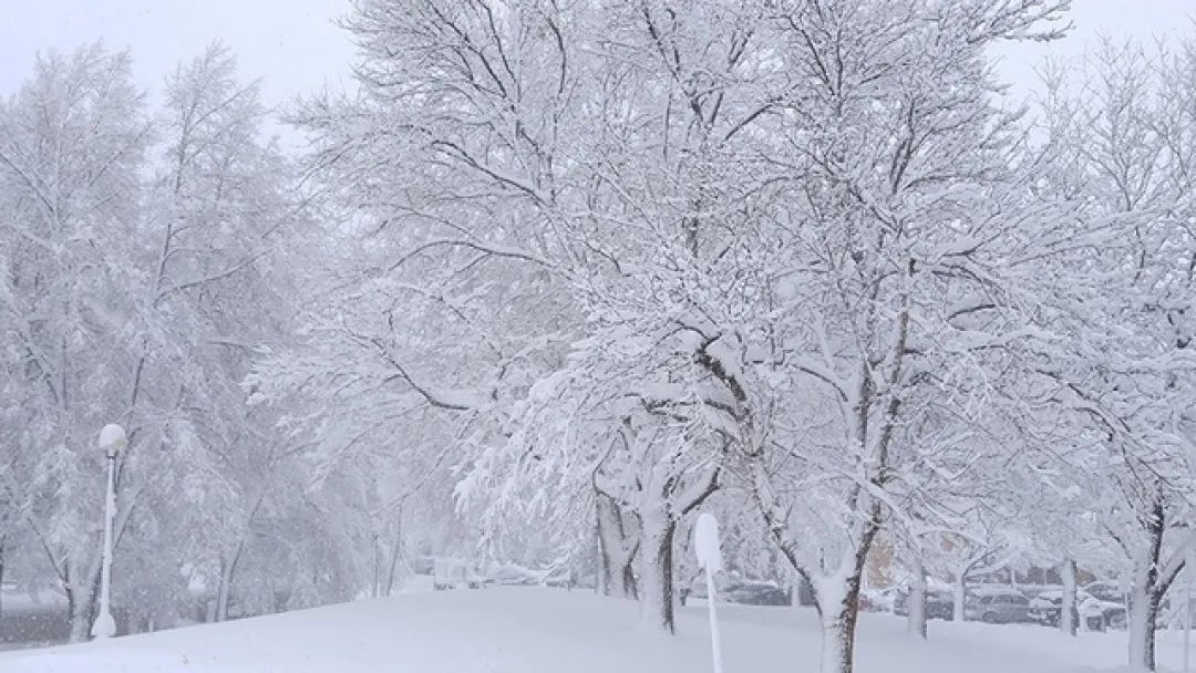 人造雪是“假雪”吗？