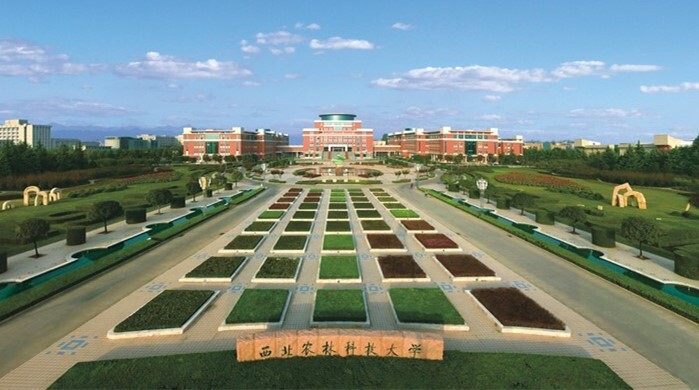 西北农林科技大学.jpg