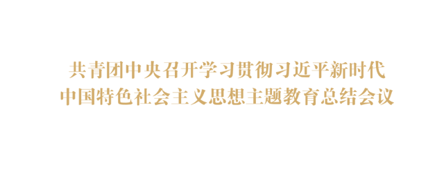 共青团中央召开学习贯彻习近平新时代中国特色社会主义思想主题教育总结会议