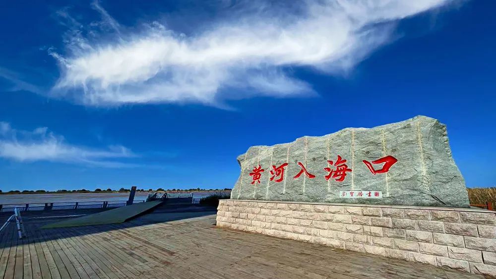 △黄河入海口位于山东东营市垦利区。（总台央视记者彭汉明拍摄）