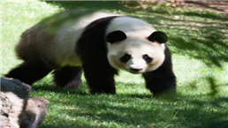 QQ截图20191005061611.png