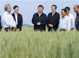 103.jpg