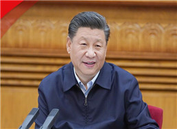 103.jpg
