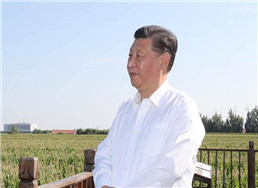 103.jpg