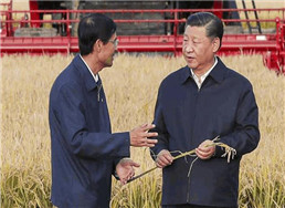 103.jpg