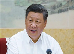 102.jpg