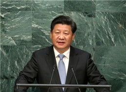 102.jpg