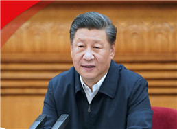 102.jpg