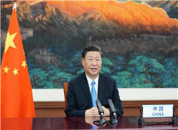 103.jpg