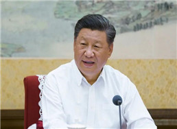 201.jpg