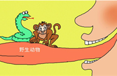 QQ截图20200205172601_副本.jpg