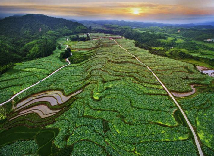 QQ截图20210624151956.png