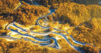 QQ截图20201120072151.png