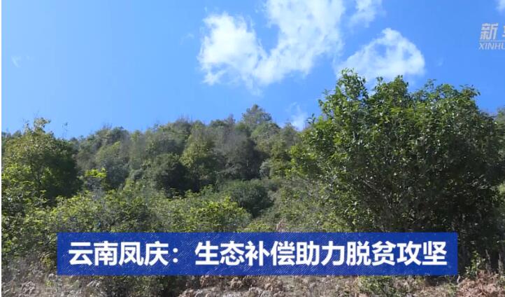 QQ截图20200817140941.jpg