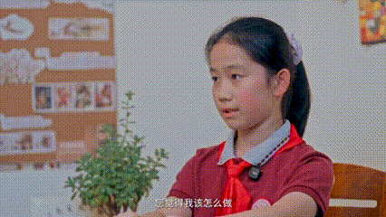 14.gif