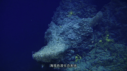 2.gif