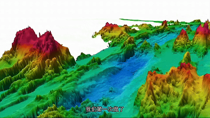 5.gif