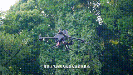 6.gif