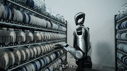 6.gif