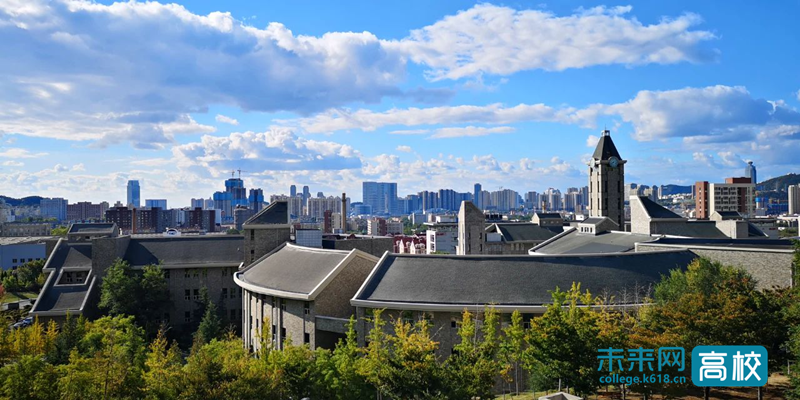 大连东软信息学院.png