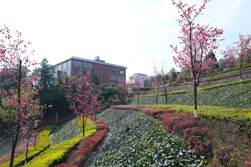 云南机电职业技术学院校园风景