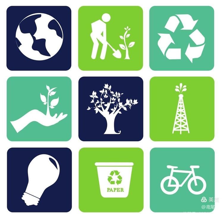 廊坊经济技术开发区第三小学开展低碳生活绿建未来主题志愿服务活动