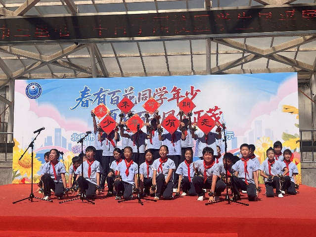图片11.png
