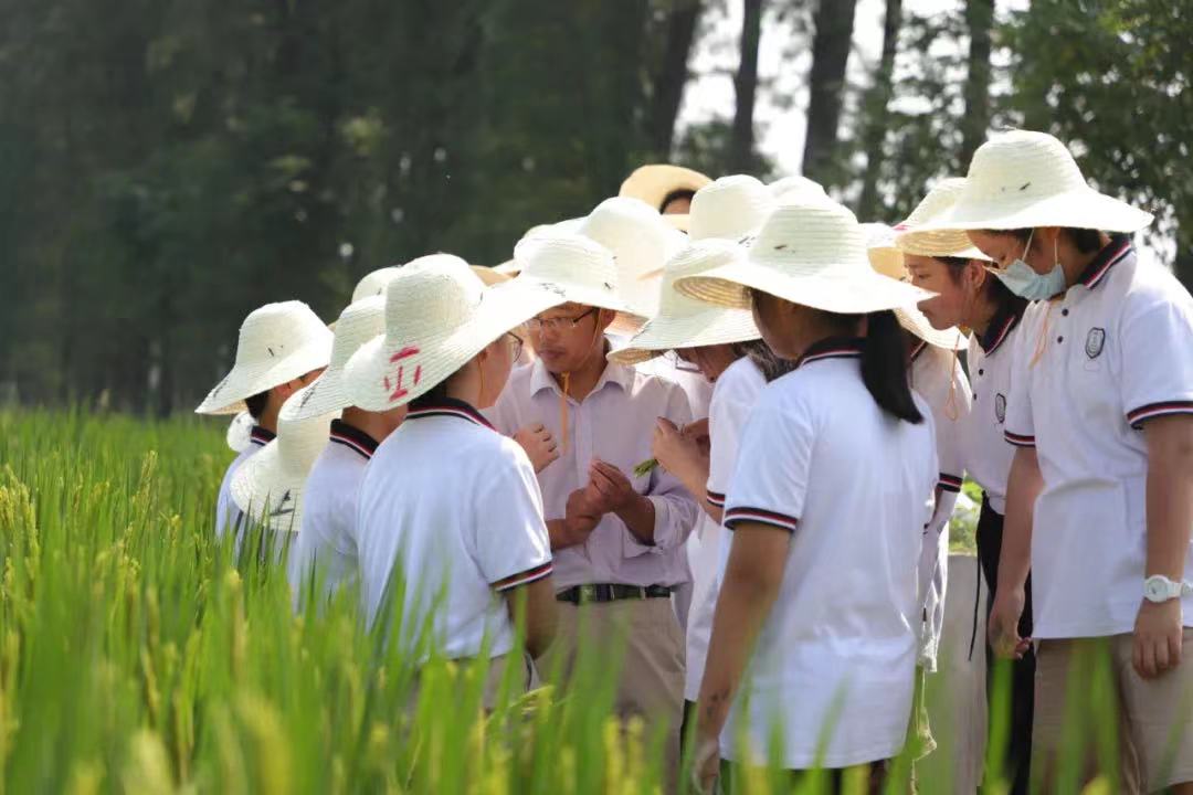 杭州市臨平區運河街道雙橋村是