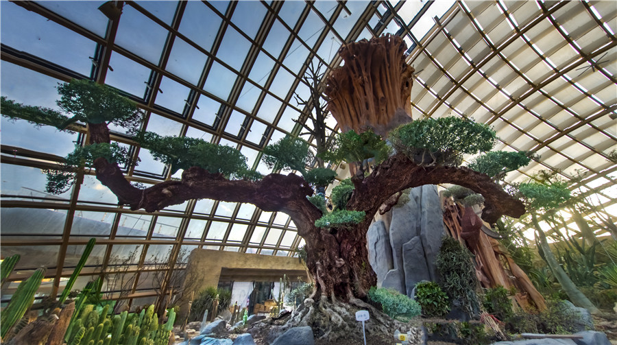 爭先崛起看中部太原植物園滿園皆風景建築更獨特