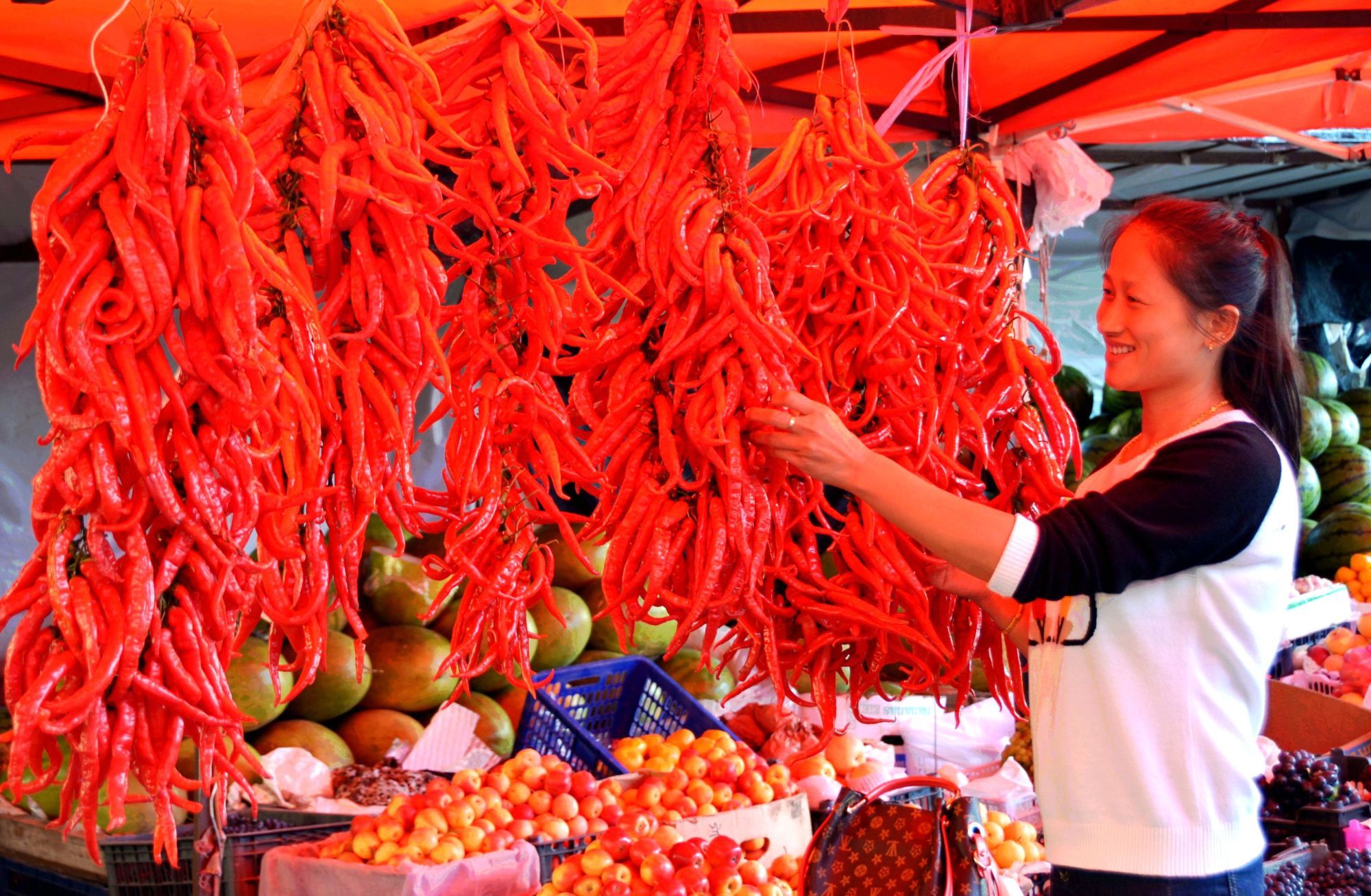 粮仓好丰景丰收画卷如此多彩