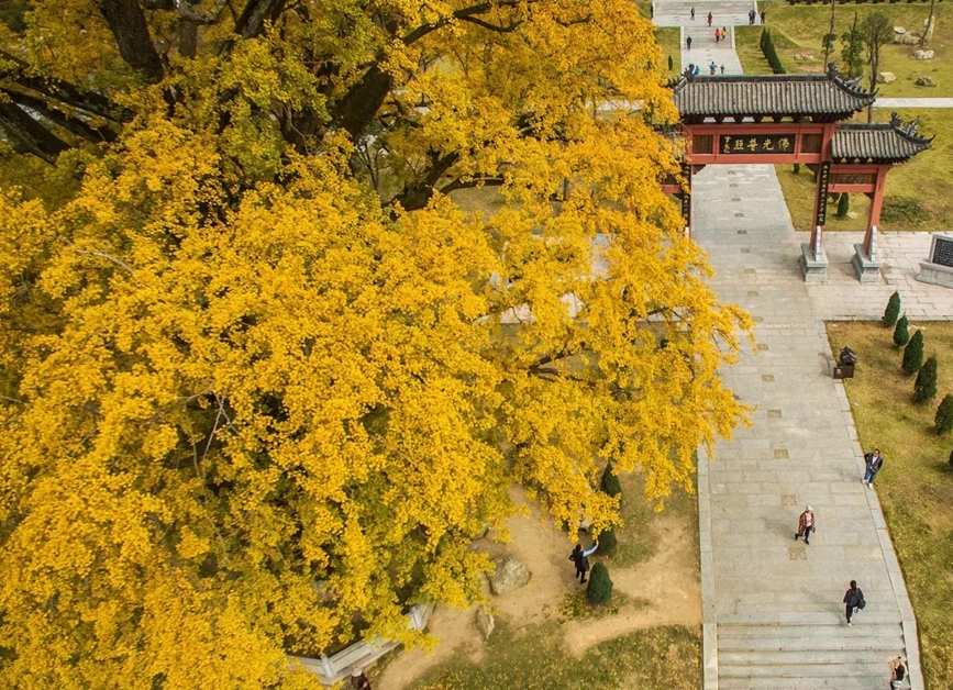 商城来黄柏山拥抱油画里的秋天