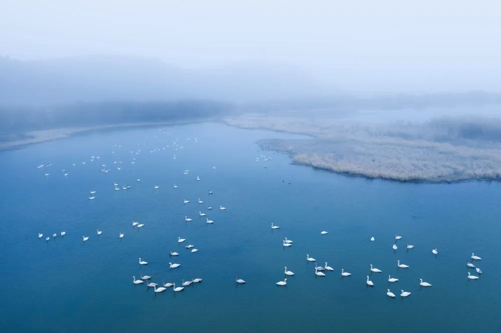 征集首届山水池州灵秀九华全国摄影大展