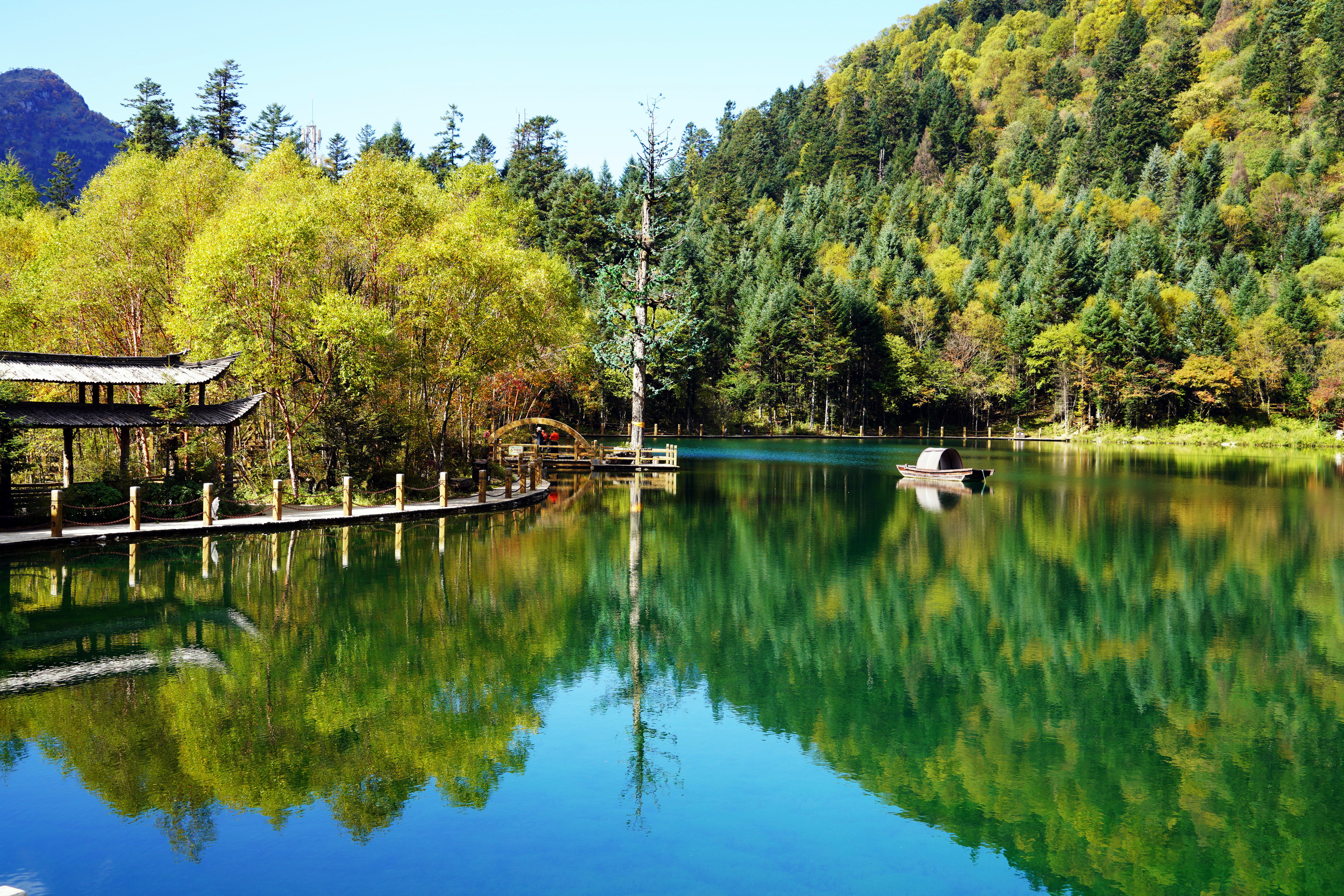 诗意中国山明水净夜来霜数树深红出浅黄