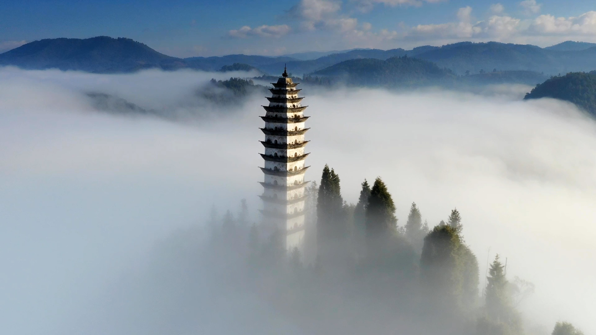 云南雾城昌宁迎来越冬灰鹤