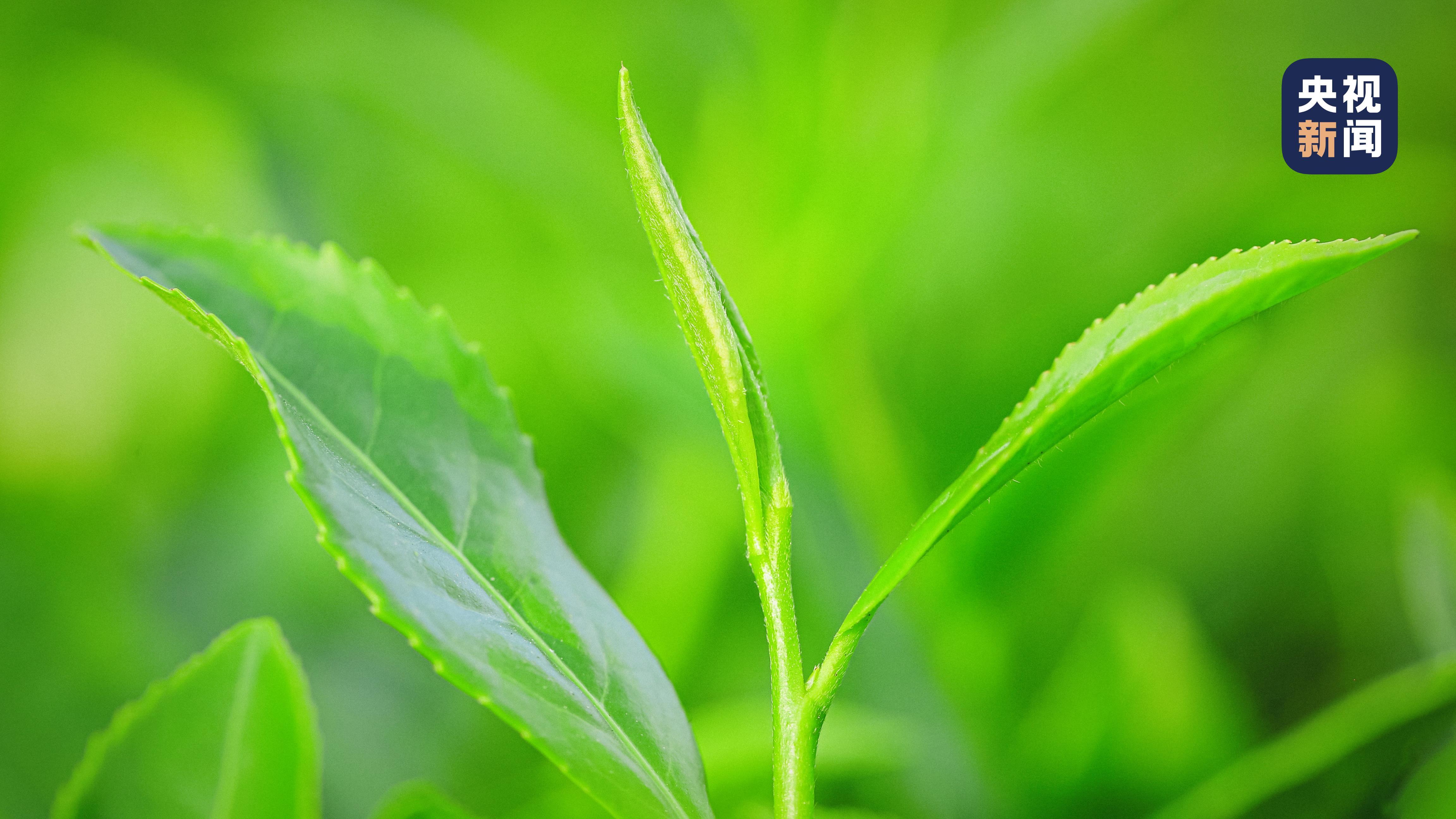 准备好了吗与锦绣山河不期而遇