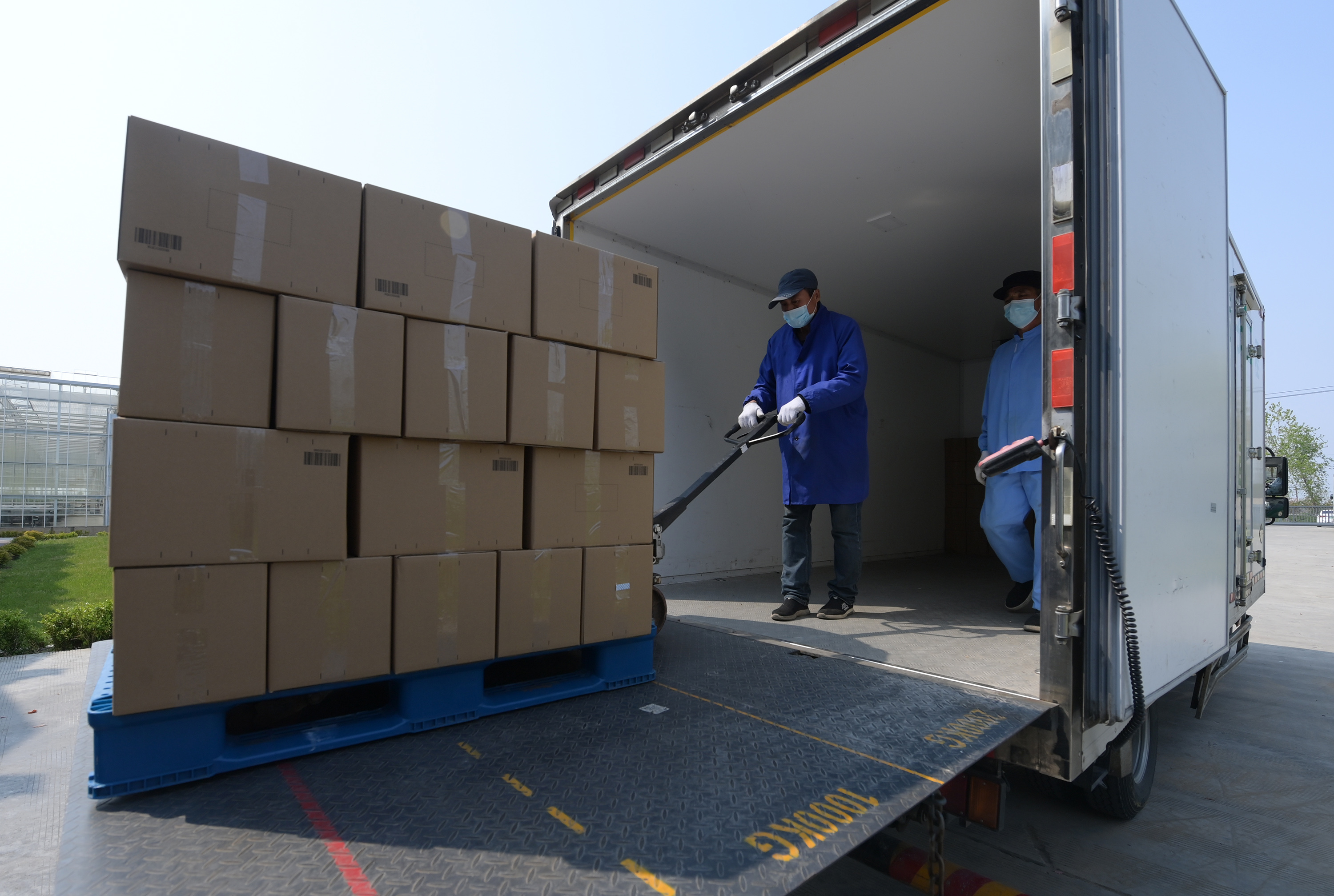 工作人员将包装好的蔬菜装车,准备送往市区(4月19日摄)