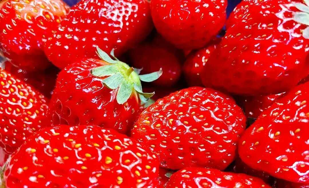 你吃的草莓肉 ,  其实是草莓的花托！